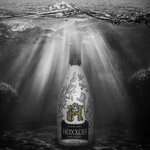 Hoxxoh Gold Black Mirror – Image 12